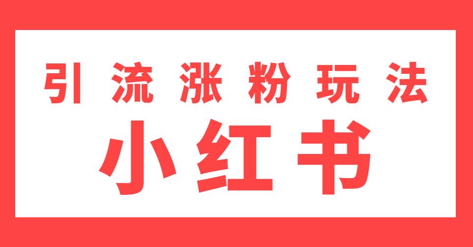 雨果：不用写文章，不用拍照片，小红书另类引流涨粉玩法（视频课程）