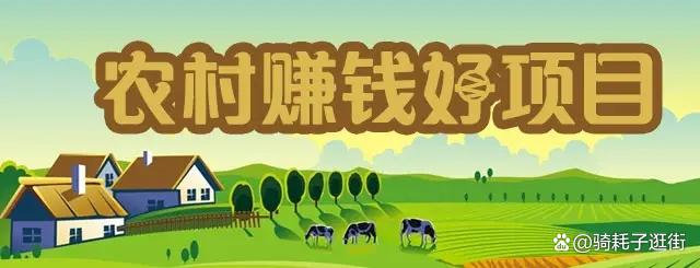 Q1518A懊悔（家乡做甚么能赚钱）在家乡干嘛赚钱，回家乡可以做吕圣索赚钱赚钱呢？，