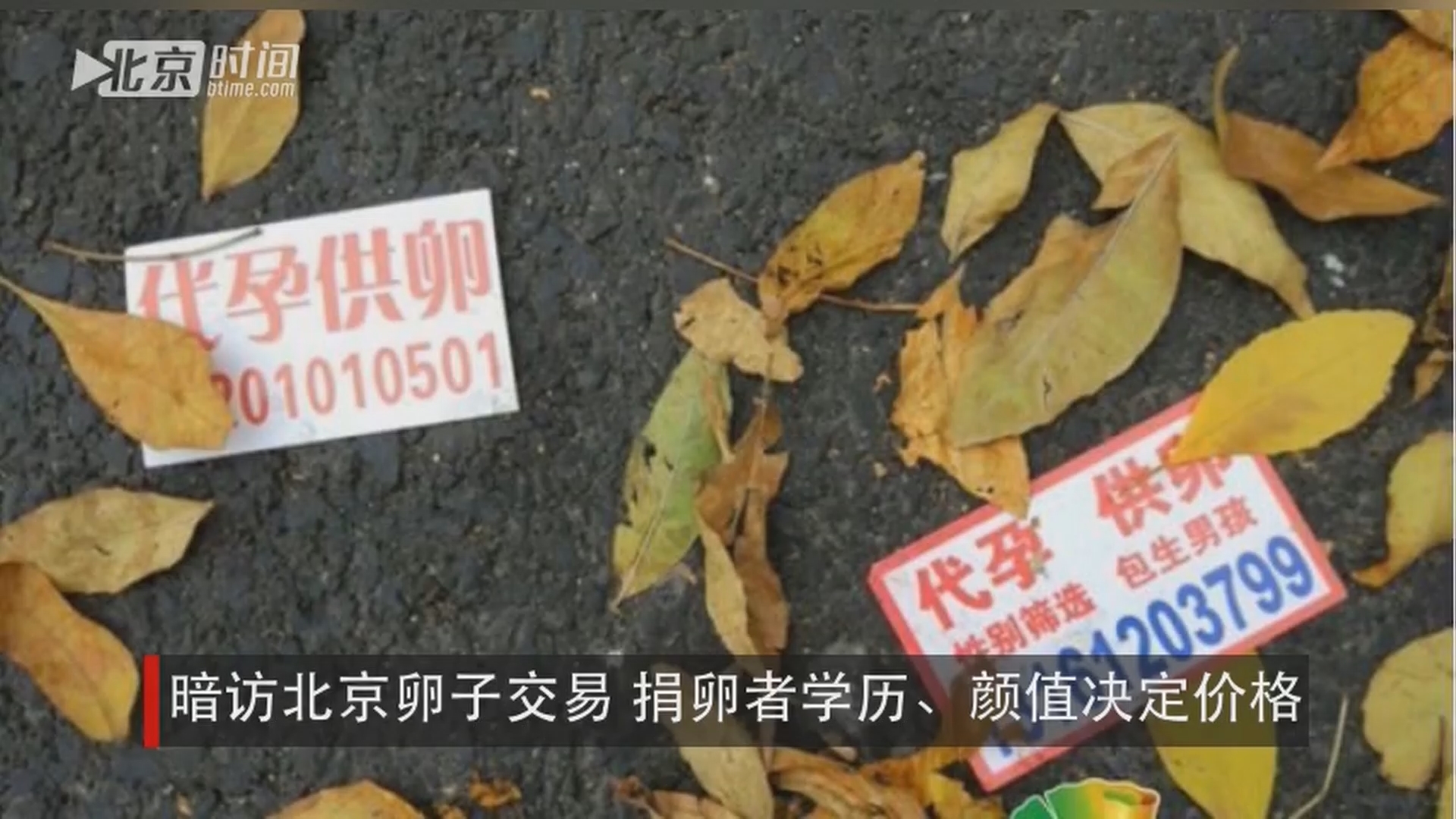 O型血女生被曝捐卵子意义远超捐器官(图)
