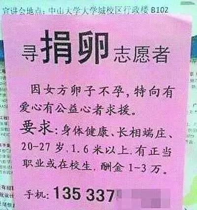 O型血女生被曝捐卵子意义远超捐器官(图)