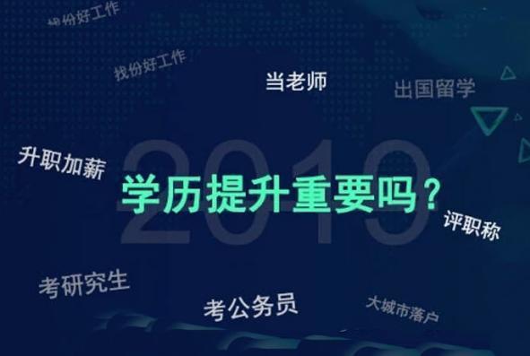以学历与职业为主题的作文，现在流行一个提问，哪个更重要？