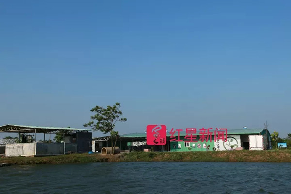 台风“天鸽”正面袭击珠海农场受损向消费者借钱百万