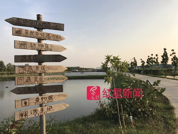 台风“天鸽”正面袭击珠海农场受损向消费者借钱百万