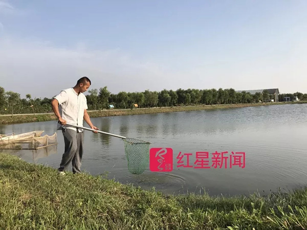 台风“天鸽”正面袭击珠海农场受损向消费者借钱百万