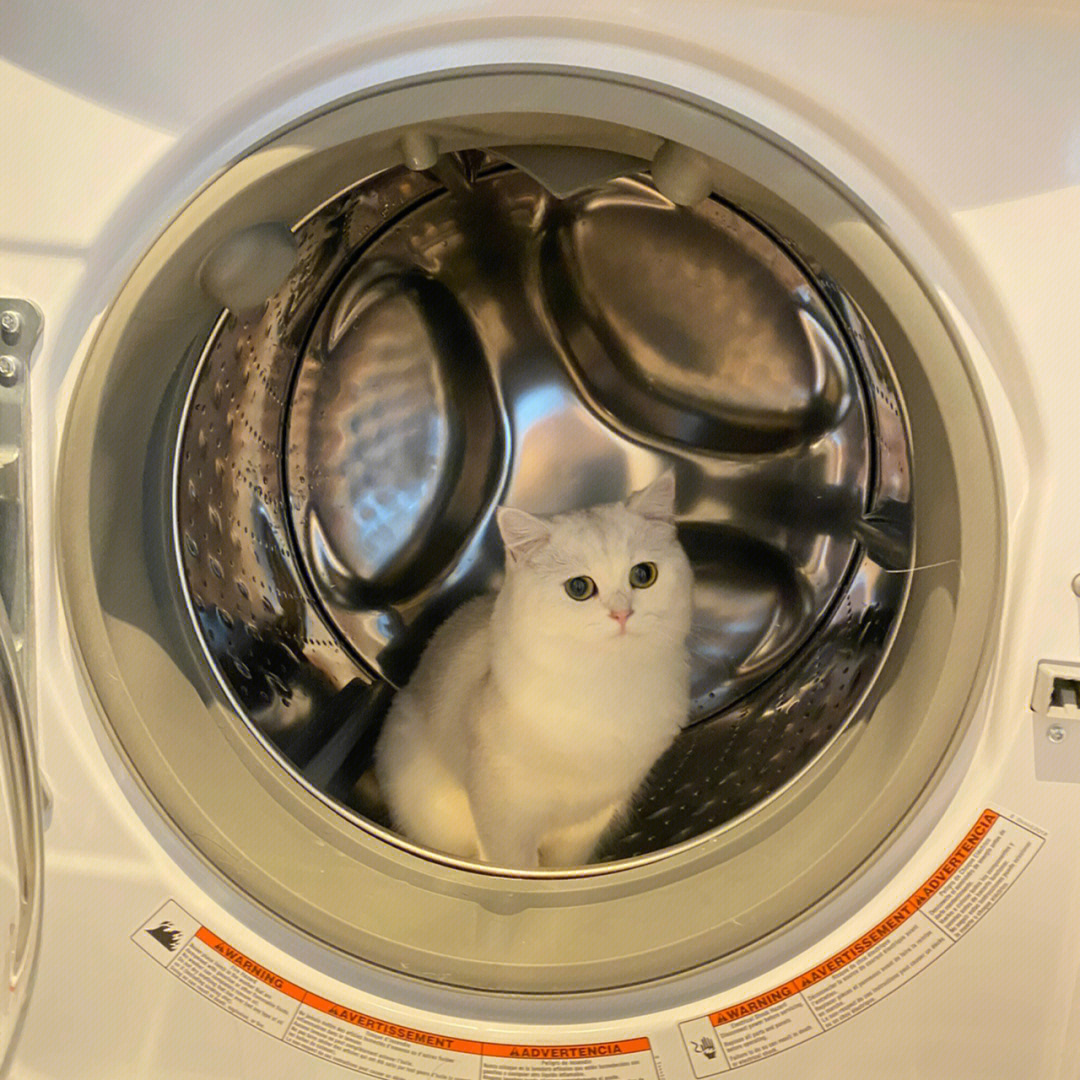猫宁洗衣洗鞋店品牌介绍洗衣洗鞋加盟流程是什么