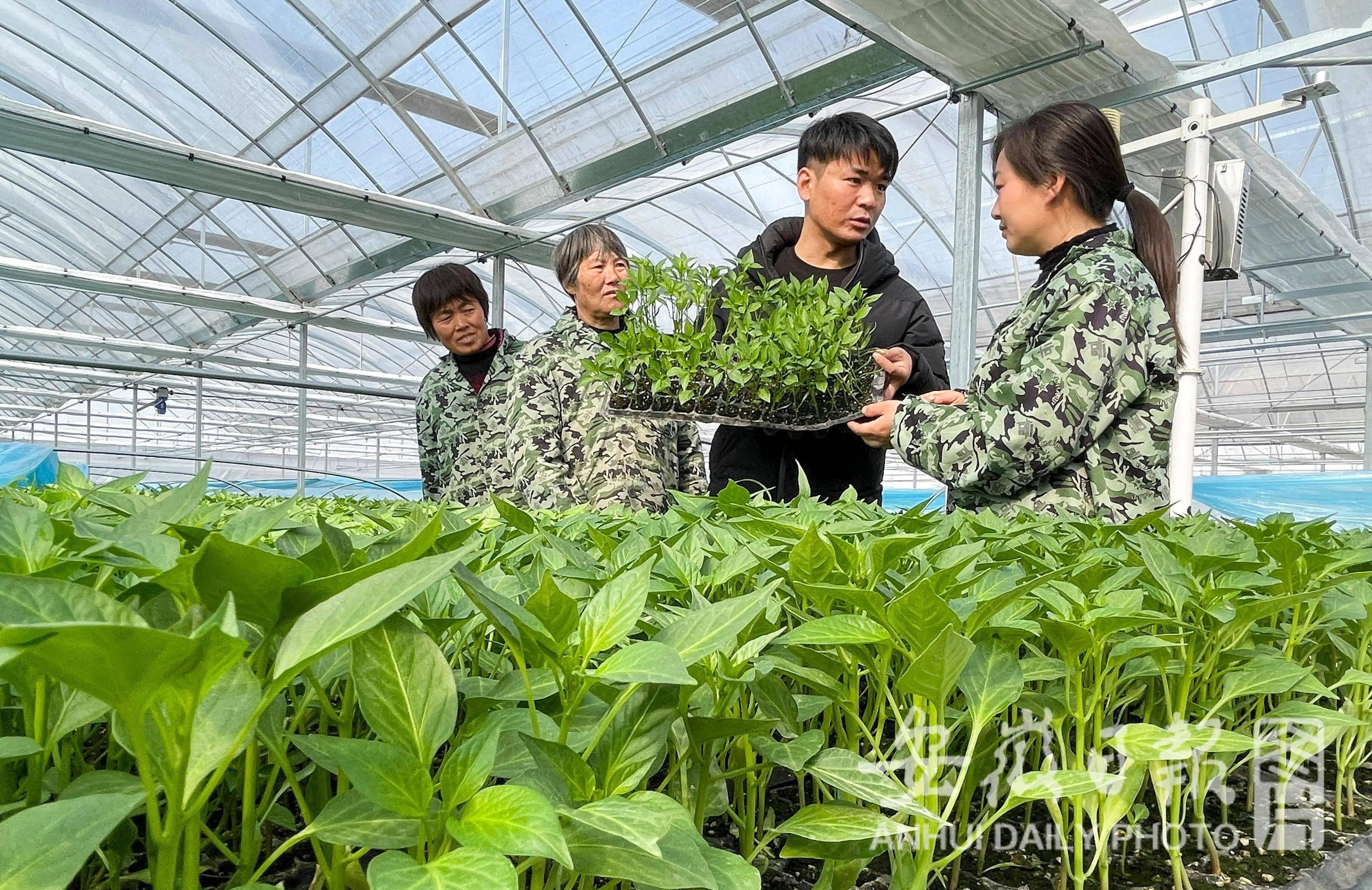 国家对创业的政策不断出台各种福利政策，兴起了