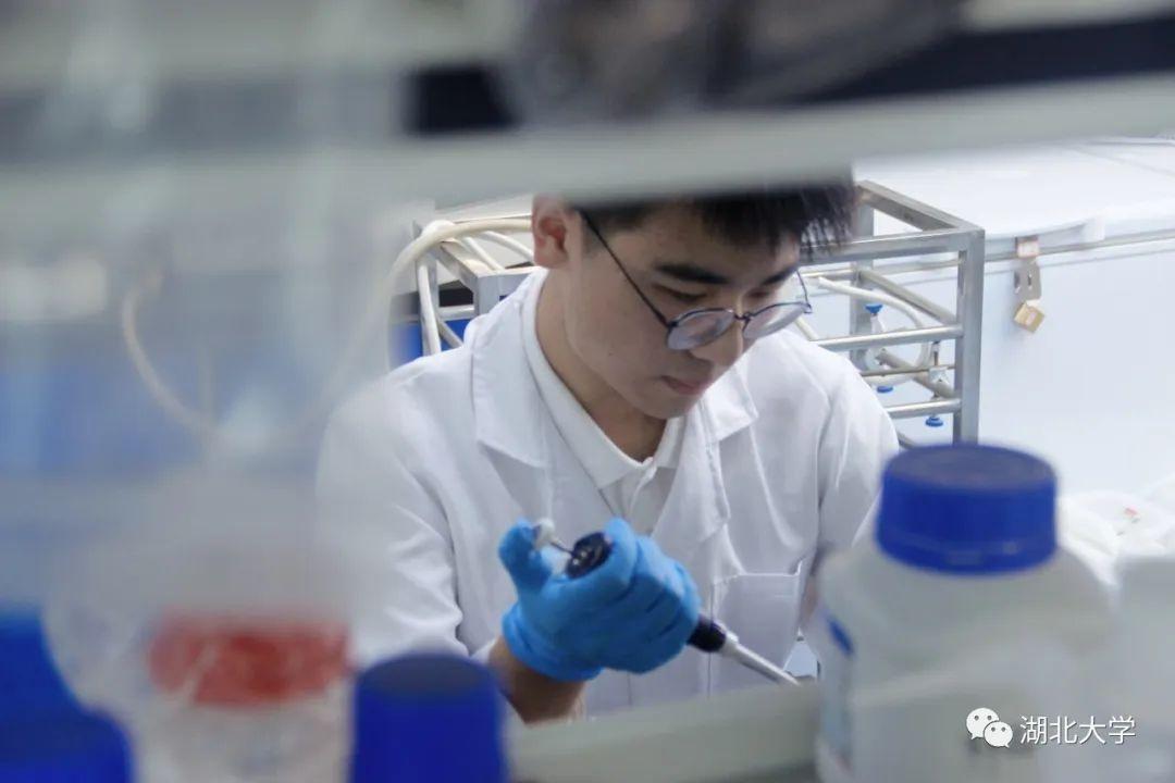（综合测评）位列考上药学专业药物化学方向多门课程近满分