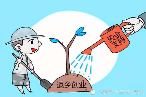国家扶持农村创业项目，助力实现梦想