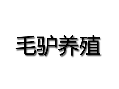 “菜篮子工程”养殖项目1.生猪一年母猪并存栏300头