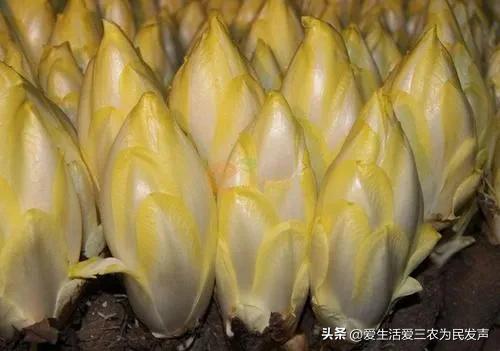 年后做哪些小生意比较合适？关键是上手简单赚钱快