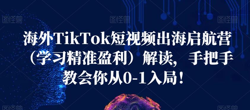 海外TikTok短视频出海启航营（学习精准盈利）解读，手把手教会你从0-1入局！